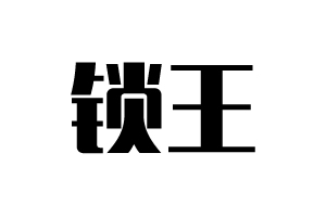 锁王智能锁